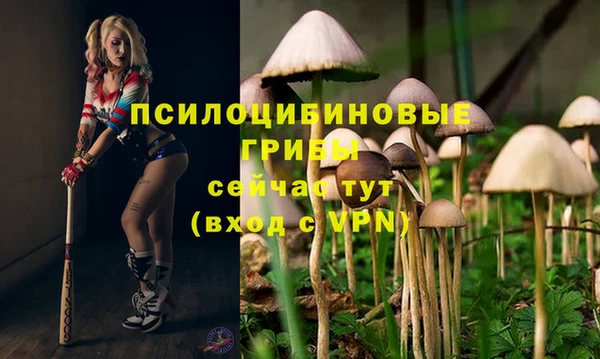 спайс Алзамай
