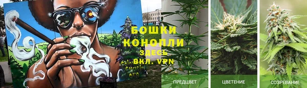 спайс Алзамай