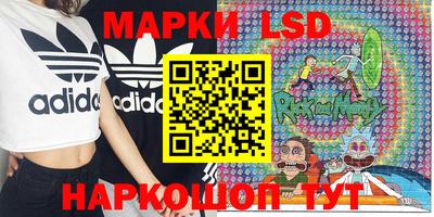 дживик Новозыбков
