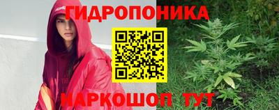 дживик Новозыбков
