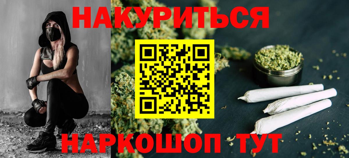Бошки Шишки семена Сосновый Бор